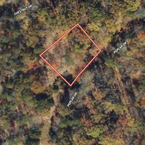 Photo #35 of Off of Poplar Drive, Hardy, VA 0.3 acres