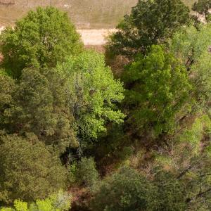 Photo #7 of Off Read Street, Laurinburg, NC 0.4 acres