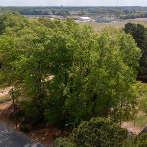 Photo #3 of Off Hall Street, Laurinburg, NC 0.4 acres