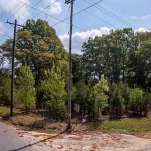 Photo #6 of Off Hall Street , Laurinburg, NC 0.4 acres
