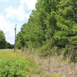 Photo #15 of Off Wiley Gaskins Road, Grifton, NC 1.1 acres