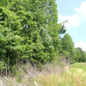 Photo #16 of Off Wiley Gaskins Road, Grifton, NC 1.1 acres
