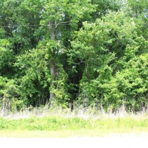 Photo #18 of Off Wiley Gaskins Road, Grifton, NC 1.1 acres