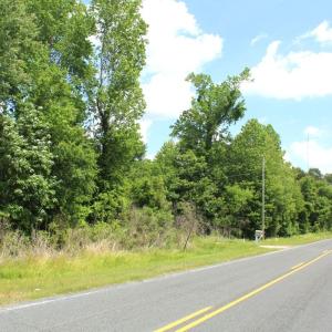 Photo #19 of Off Wiley Gaskins Road, Grifton, NC 1.1 acres