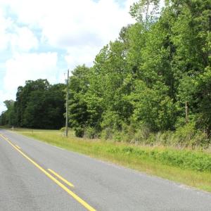 Photo #20 of Off Wiley Gaskins Road, Grifton, NC 1.1 acres