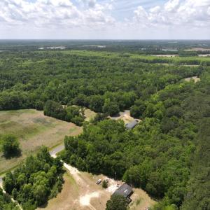 Photo #3 of Off Wiley Gaskins Road, Grifton, NC 1.1 acres