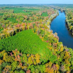Photo #1 of Womack Rd. , Broadway, NC 715.9 acres