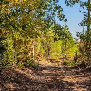 Photo #2 of Womack Rd. , Broadway, NC 715.9 acres