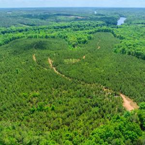 Photo #15 of Womack Rd. , Broadway, NC 715.9 acres