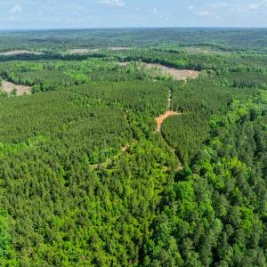 Photo #16 of Womack Rd. , Broadway, NC 715.9 acres