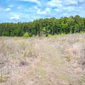Photo #17 of Womack Rd. , Broadway, NC 715.9 acres