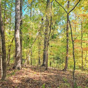 Photo #21 of Womack Rd. , Broadway, NC 715.9 acres