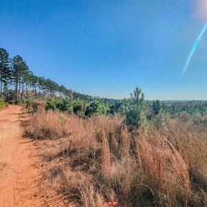Photo #23 of Womack Rd. , Broadway, NC 715.9 acres