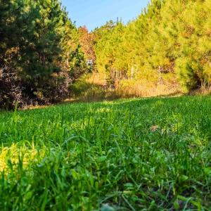 Photo #4 of Womack Rd. , Broadway, NC 715.9 acres