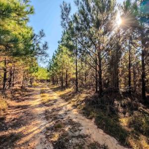 Photo #29 of Womack Rd. , Broadway, NC 715.9 acres