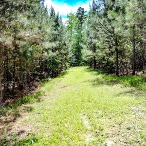 Photo #33 of Womack Rd. , Broadway, NC 715.9 acres
