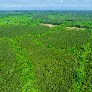 Photo #34 of Womack Rd. , Broadway, NC 715.9 acres