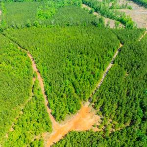 Photo #35 of Womack Rd. , Broadway, NC 715.9 acres