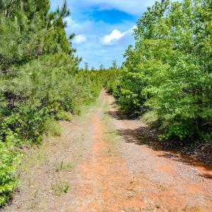 Photo #37 of Womack Rd. , Broadway, NC 715.9 acres