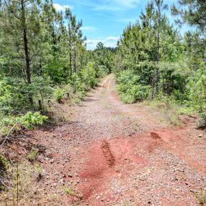 Photo #38 of Womack Rd. , Broadway, NC 715.9 acres