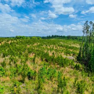Photo #40 of Womack Rd. , Broadway, NC 715.9 acres