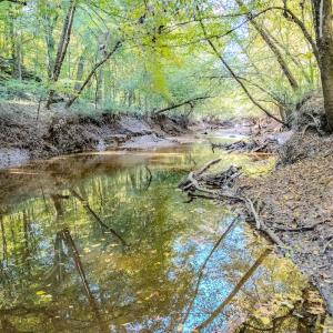 Photo #12 of Womack Rd. , Broadway, NC 715.9 acres