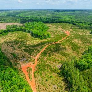 Photo #41 of Womack Rd. , Broadway, NC 715.9 acres