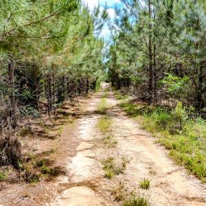 Photo #44 of Womack Rd. , Broadway, NC 715.9 acres