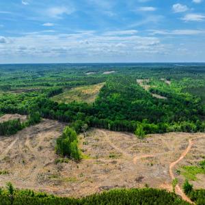 Photo #45 of Womack Rd. , Broadway, NC 715.9 acres