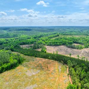 Photo #46 of Womack Rd. , Broadway, NC 715.9 acres