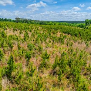 Photo #47 of Womack Rd. , Broadway, NC 715.9 acres