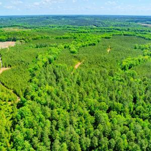 Photo #56 of Womack Rd. , Broadway, NC 715.9 acres