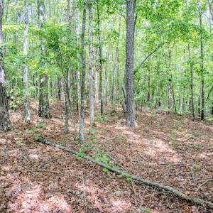 Photo #58 of Womack Rd. , Broadway, NC 715.9 acres
