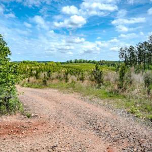Photo #59 of Womack Rd. , Broadway, NC 715.9 acres