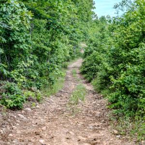 Photo #60 of Womack Rd. , Broadway, NC 715.9 acres