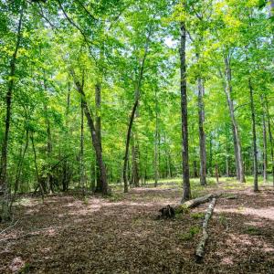 Photo #62 of Womack Rd. , Broadway, NC 715.9 acres