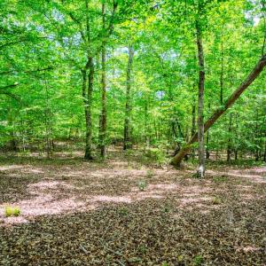Photo #65 of Womack Rd. , Broadway, NC 715.9 acres