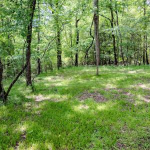 Photo #66 of Womack Rd. , Broadway, NC 715.9 acres