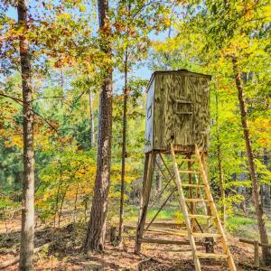 Photo #68 of Womack Rd. , Broadway, NC 715.9 acres