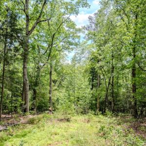 Photo #69 of Womack Rd. , Broadway, NC 715.9 acres