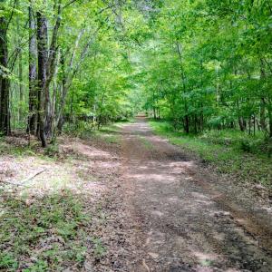 Photo #70 of Womack Rd. , Broadway, NC 715.9 acres