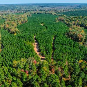 Photo #72 of Womack Rd. , Broadway, NC 715.9 acres