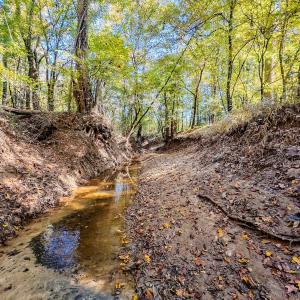 Photo #73 of Womack Rd. , Broadway, NC 715.9 acres