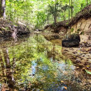 Photo #74 of Womack Rd. , Broadway, NC 715.9 acres