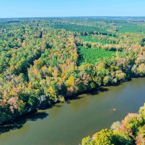 Photo #77 of Womack Rd. , Broadway, NC 715.9 acres
