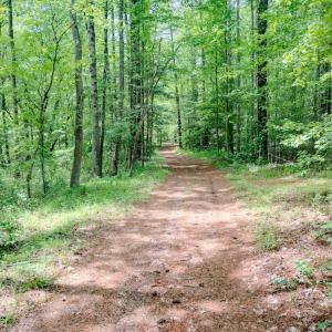 Photo #79 of Womack Rd. , Broadway, NC 715.9 acres