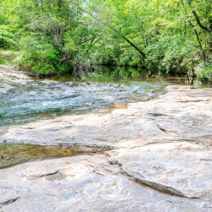 Photo #80 of Womack Rd. , Broadway, NC 715.9 acres