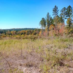 Photo #81 of Womack Rd. , Broadway, NC 715.9 acres