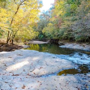 Photo #84 of Womack Rd. , Broadway, NC 715.9 acres