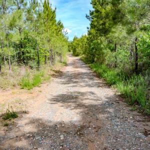 Photo #86 of Womack Rd. , Broadway, NC 715.9 acres